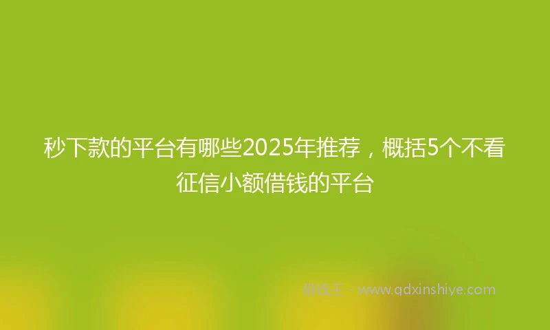 秒下款的平台有哪些2025年推荐，概括5个不看征信小额借钱的平台