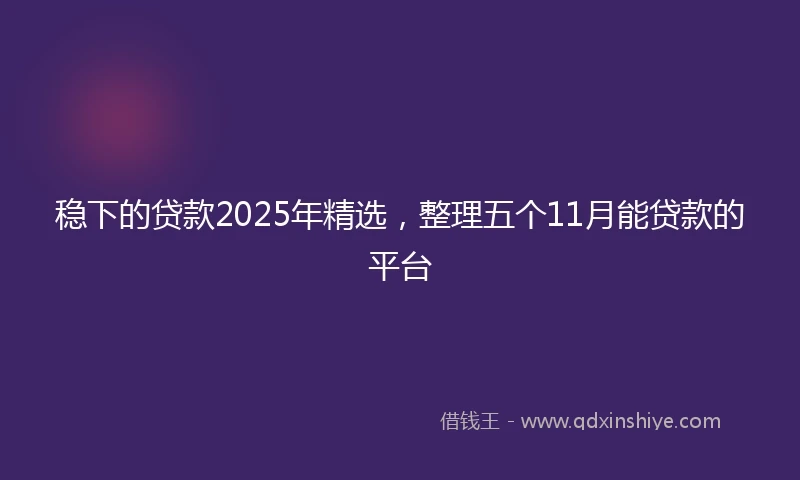 稳下的贷款2025年精选，整理五个11月能贷款的平台