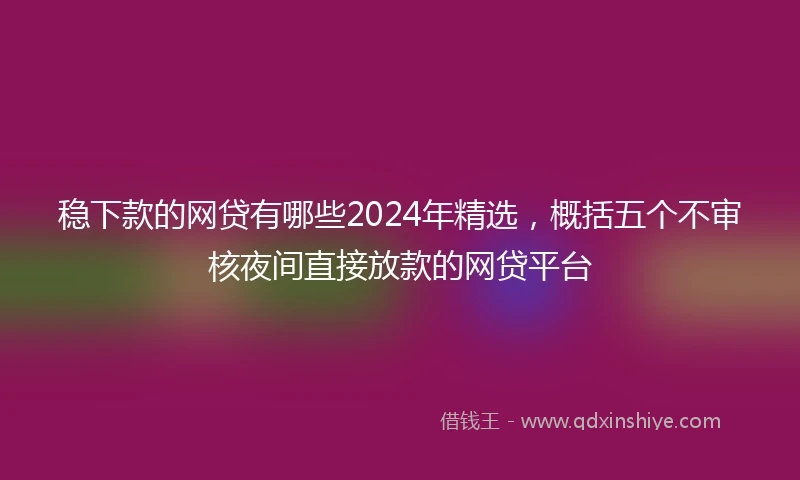 稳下款的网贷有哪些2024年精选，概括五个不审核夜间直接放款的网贷平台