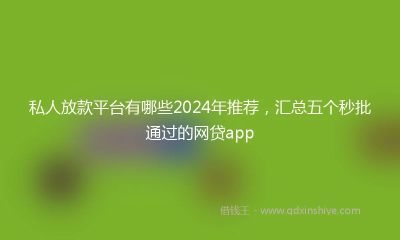 私人放款平台有哪些2024年推荐，汇总五个秒批通过的网贷app