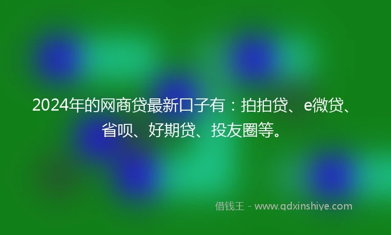 2024年的网商贷最新口子有：拍拍贷、e微贷、省呗、好期贷、投友圈等。