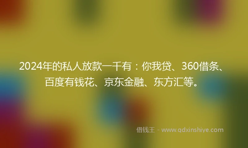 2024年的私人放款一千有：你我贷、360借条、百度有钱花、京东金融、东方汇等。