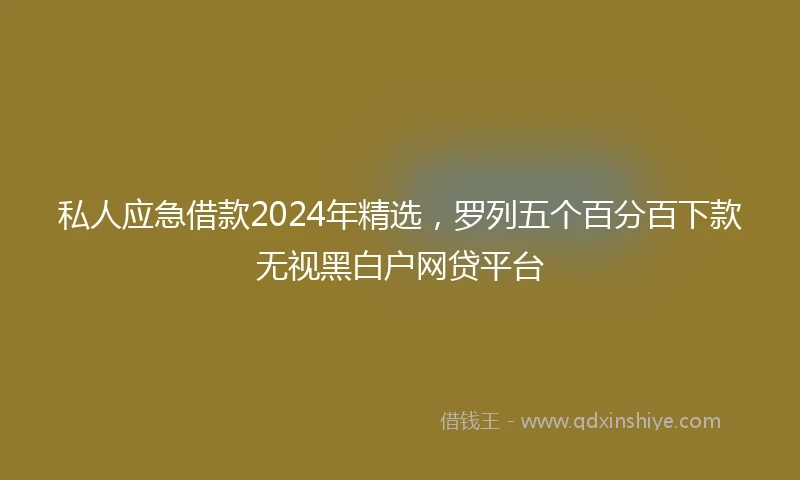 私人应急借款2024年精选，罗列五个百分百下款无视黑白户网贷平台