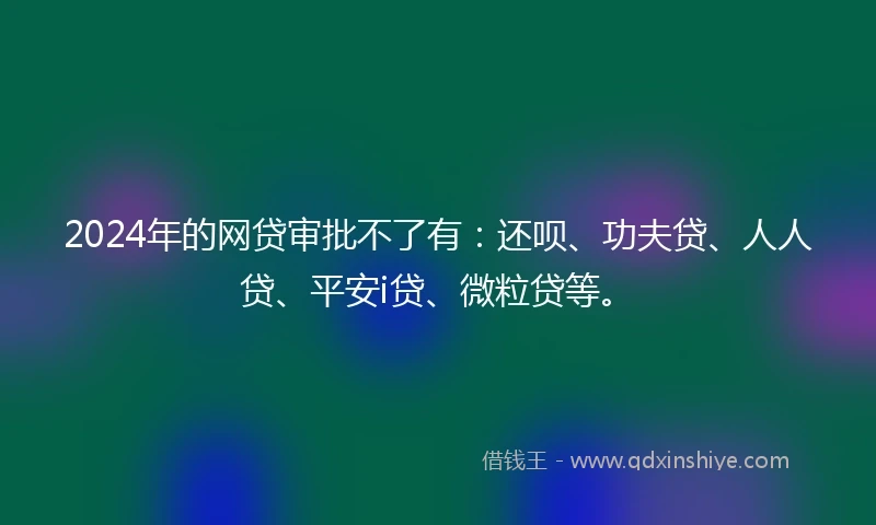 2024年的网贷审批不了有：还呗、功夫贷、人人贷、平安i贷、微粒贷等。