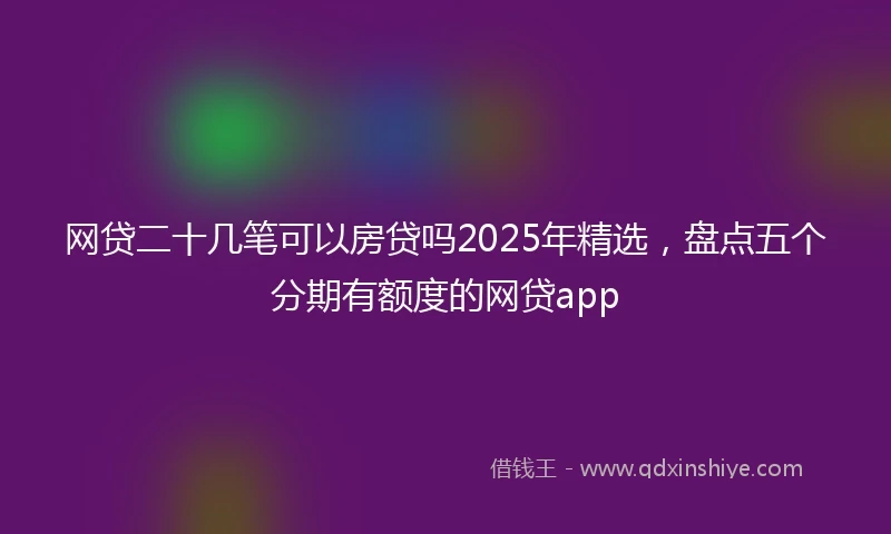 网贷二十几笔可以房贷吗2025年精选，盘点五个分期有额度的网贷app