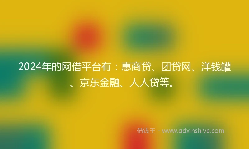2024年的网借平台有：惠商贷、团贷网、洋钱罐、京东金融、人人贷等。