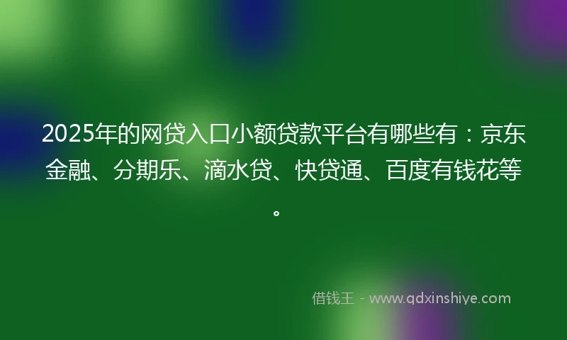 2025年的网贷入口小额贷款平台有哪些有：京东金融、分期乐、滴水贷、快贷通、百度有钱花等。