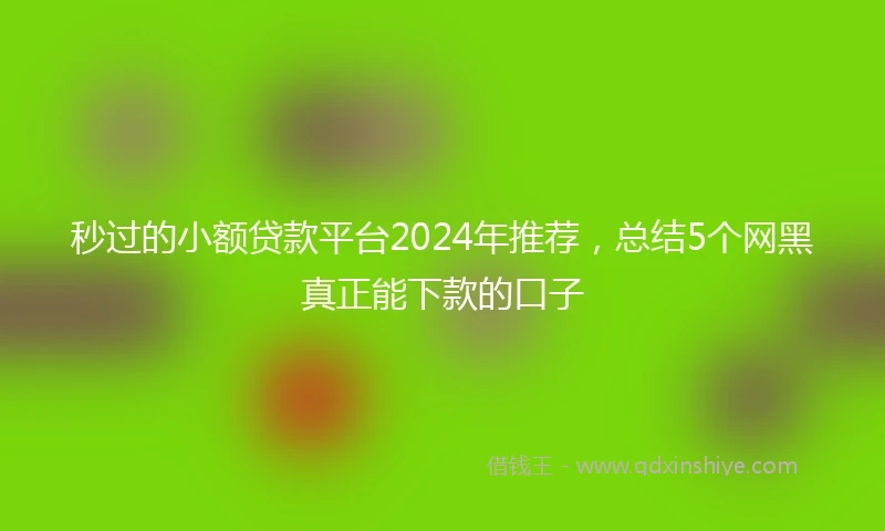 秒过的小额贷款平台2024年推荐，总结5个网黑真正能下款的口子