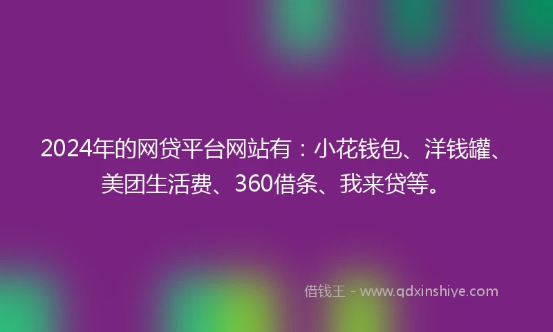 2024年的网贷平台网站有：小花钱包、洋钱罐、美团生活费、360借条、我来贷等。