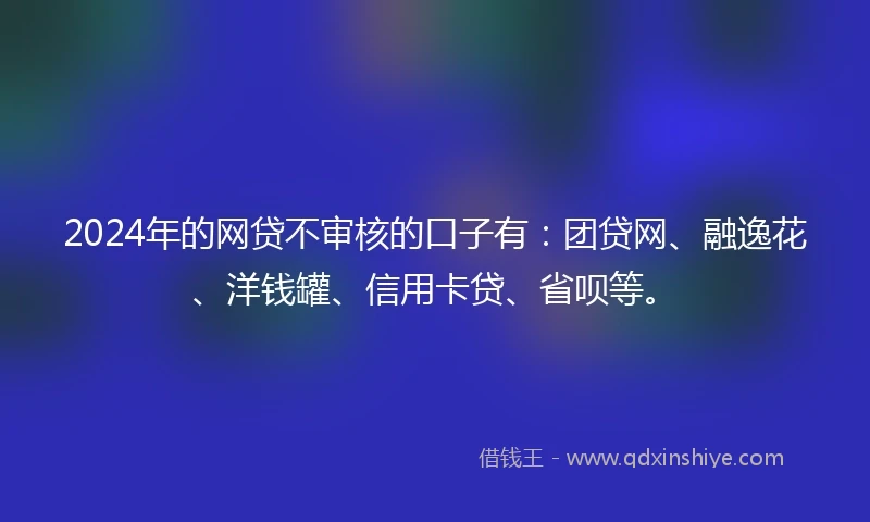 2024年的网贷不审核的口子有：团贷网、融逸花、洋钱罐、信用卡贷、省呗等。