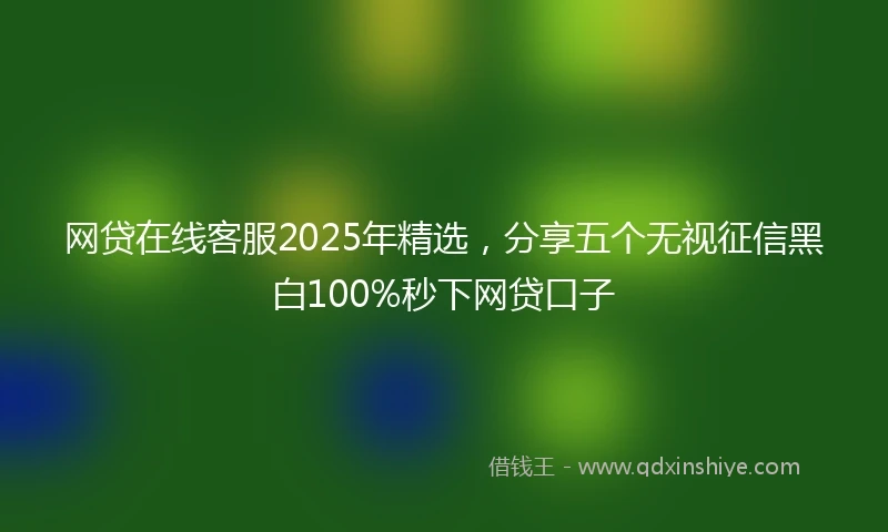 网贷在线客服2025年精选，分享五个无视征信黑白100%秒下网贷口子