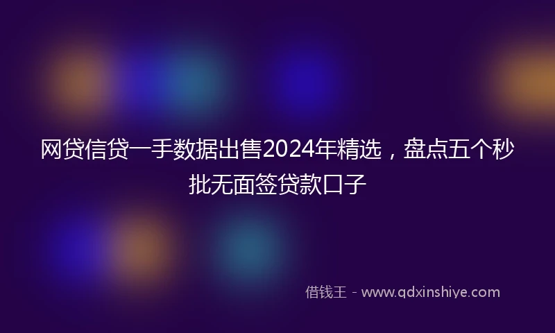网贷信贷一手数据出售2024年精选,盘点五个秒批无面签贷款口子