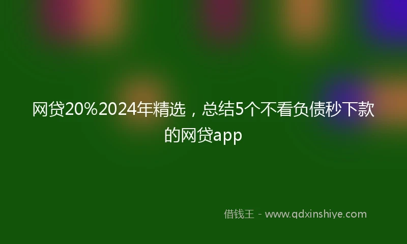 网贷20%2024年精选，总结5个不看负债秒下款的网贷app