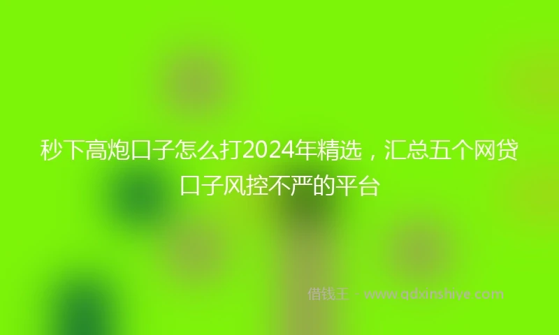 秒下高炮口子怎么打2024年精选，汇总五个网贷口子风控不严的平台