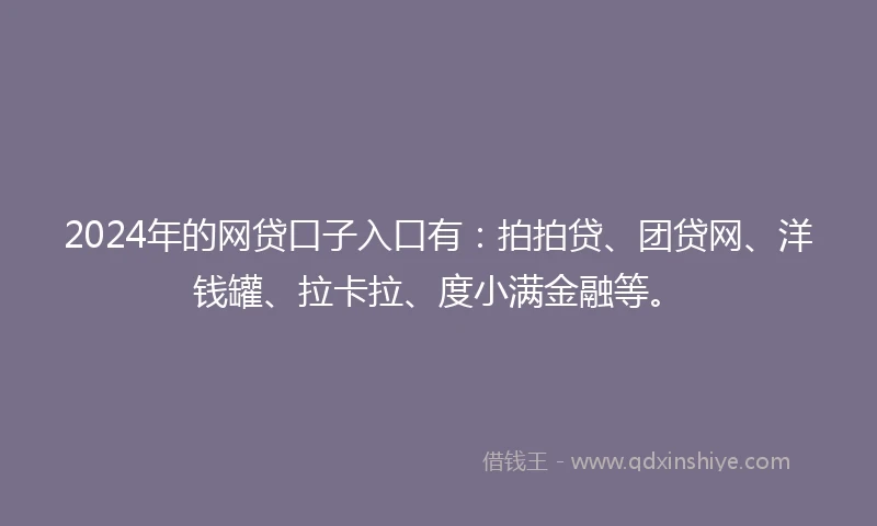 2024年的网贷口子入口有：拍拍贷、团贷网、洋钱罐、拉卡拉、度小满金融等。