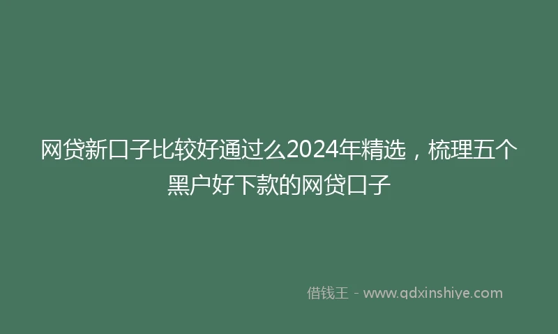 网贷新口子比较好通过么2024年精选，梳理五个黑户好下款的网贷口子
