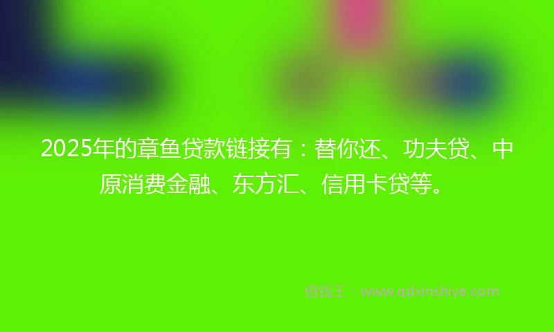 2025年的章鱼贷款链接有：替你还、功夫贷、中原消费金融、东方汇、信用卡贷等。