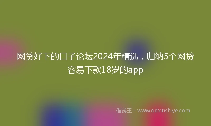 网贷好下的口子论坛2024年精选，归纳5个网贷容易下款18岁的app