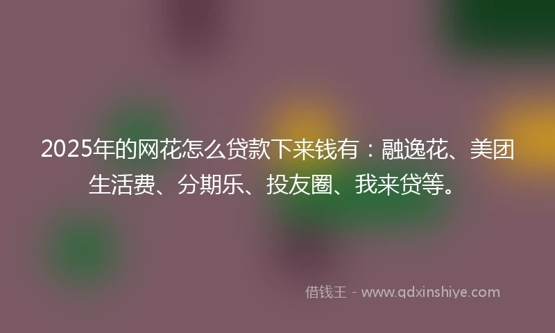 2025年的网花怎么贷款下来钱有：融逸花、美团生活费、分期乐、投友圈、我来贷等。