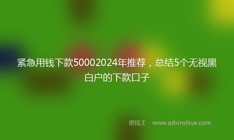 紧急用钱下款50002024年推荐，总结5个无视黑白户的下款口子