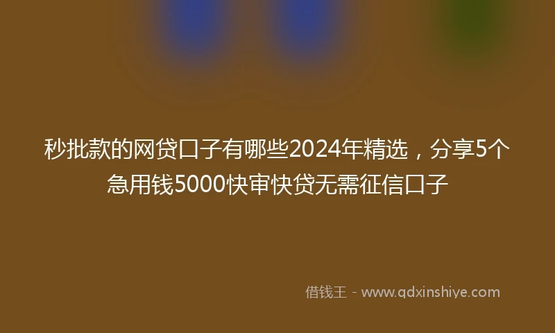 秒批款的网贷口子有哪些2024年精选，分享5个急用钱5000快审快贷无需征信口子