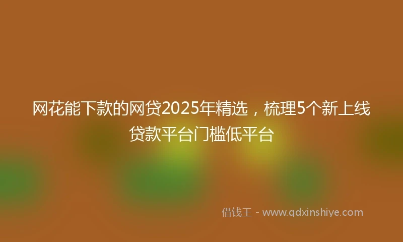 网花能下款的网贷2025年精选，梳理5个新上线贷款平台门槛低平台