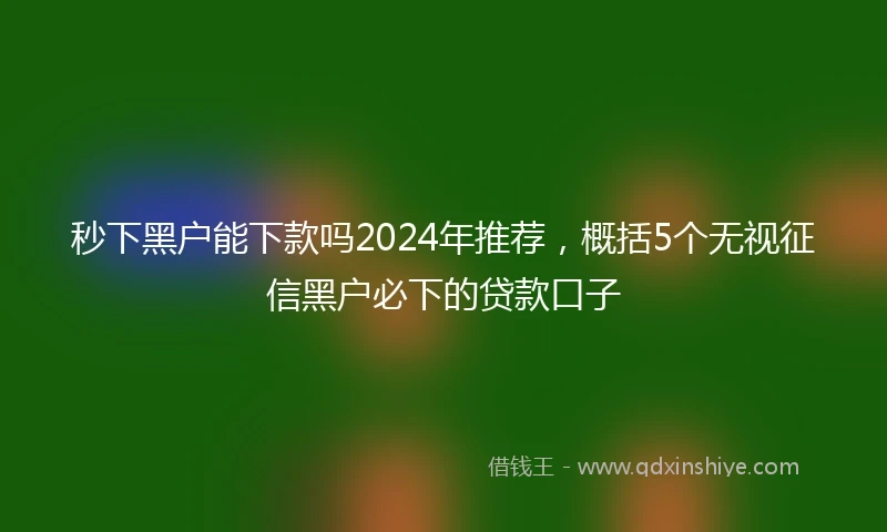 秒下黑户能下款吗2024年推荐，概括5个无视征信黑户必下的贷款口子