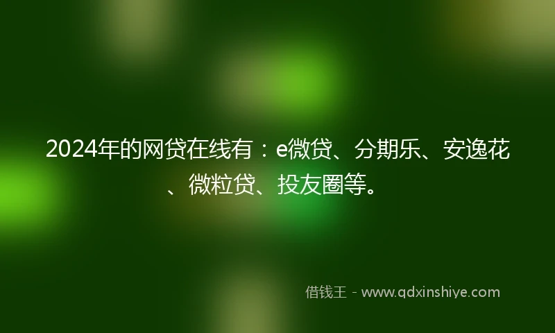 2024年的网贷在线有：e微贷、分期乐、安逸花、微粒贷、投友圈等。