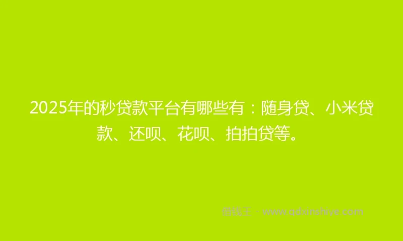 2025年的秒贷款平台有哪些有：随身贷、小米贷款、还呗、花呗、拍拍贷等。