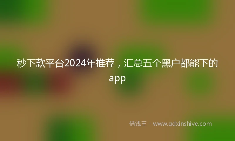 秒下款平台2024年推荐，汇总五个黑户都能下的app