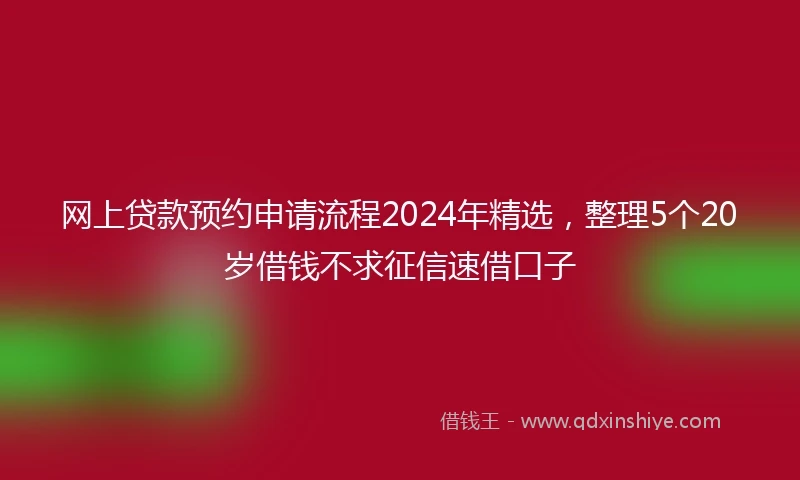 网上贷款预约申请流程2024年精选，整理5个20岁借钱不求征信速借口子