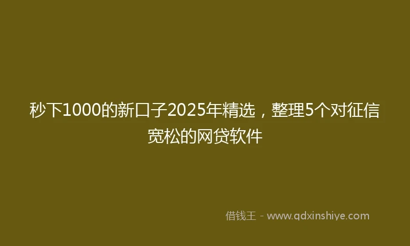 秒下1000的新口子2025年精选，整理5个对征信宽松的网贷软件