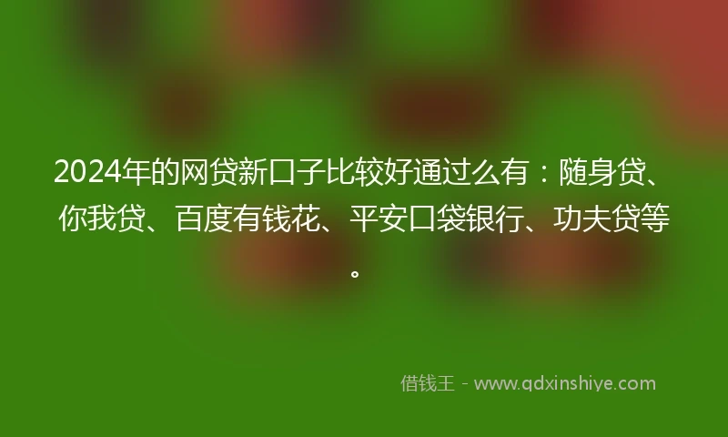 2024年的网贷新口子比较好通过么有：随身贷、你我贷、百度有钱花、平安口袋银行、功夫贷等。