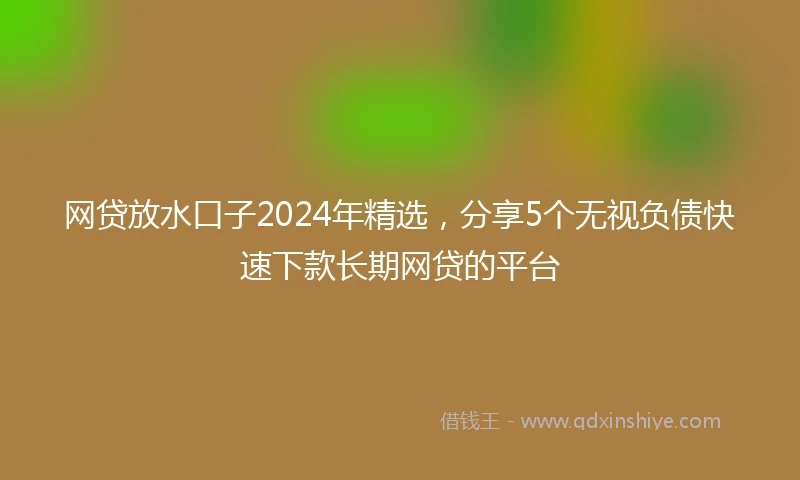 网贷放水口子2024年精选，分享5个无视负债快速下款长期网贷的平台