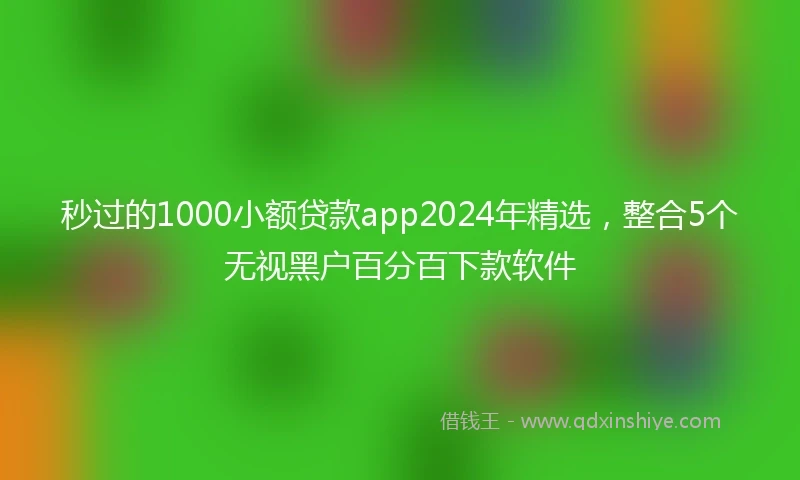 秒过的1000小额贷款app2024年精选，整合5个无视黑户百分百下款软件