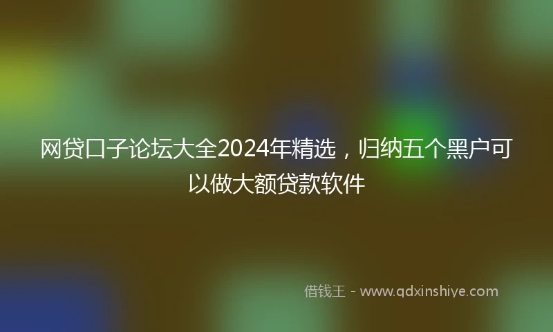 网贷口子论坛大全2024年精选，归纳五个黑户可以做大额贷款软件