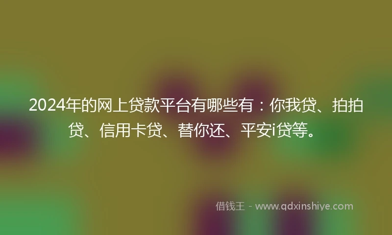 2024年的网上贷款平台有哪些有：你我贷、拍拍贷、信用卡贷、替你还、平安i贷等。
