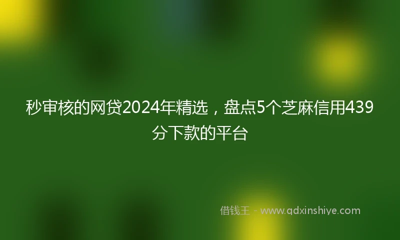秒审核的网贷2024年精选，盘点5个芝麻信用439分下款的平台