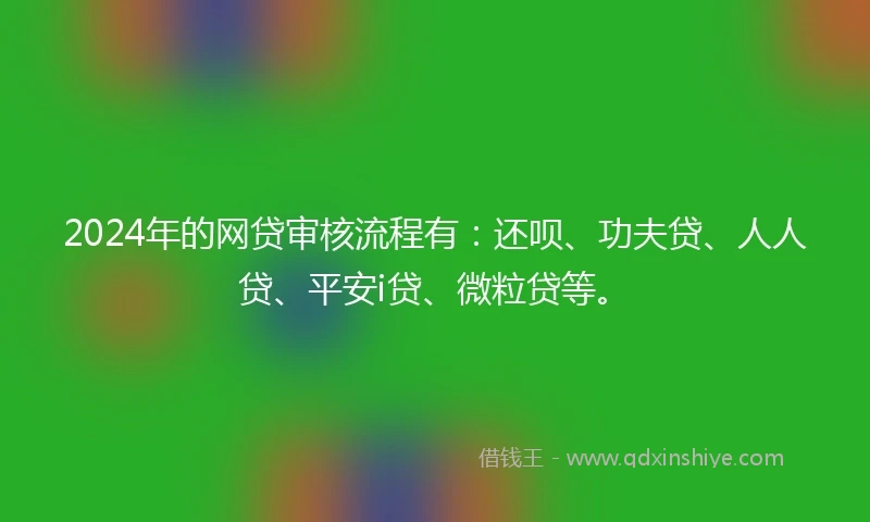 2024年的网贷审核流程有：还呗、功夫贷、人人贷、平安i贷、微粒贷等。
