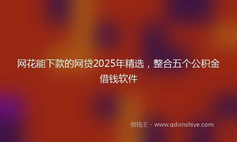 网花能下款的网贷2025年精选，整合五个公积金借钱软件