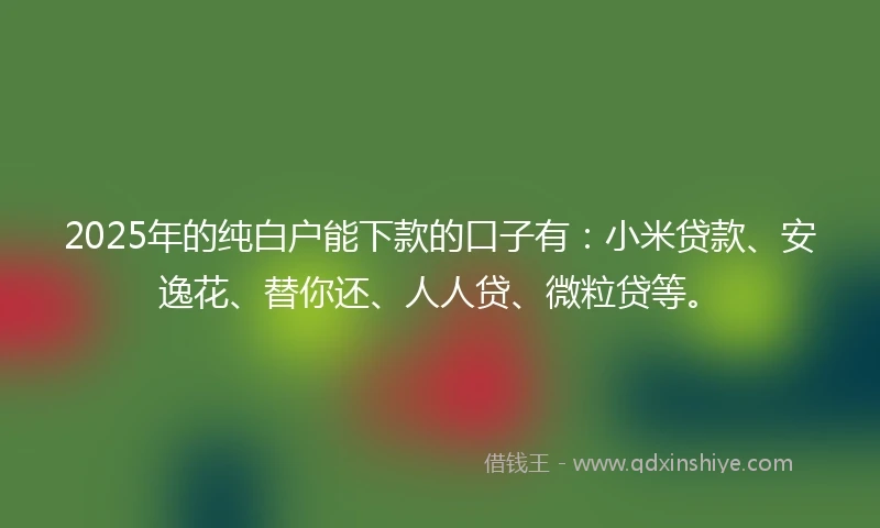 2025年的纯白户能下款的口子有：小米贷款、安逸花、替你还、人人贷、微粒贷等。