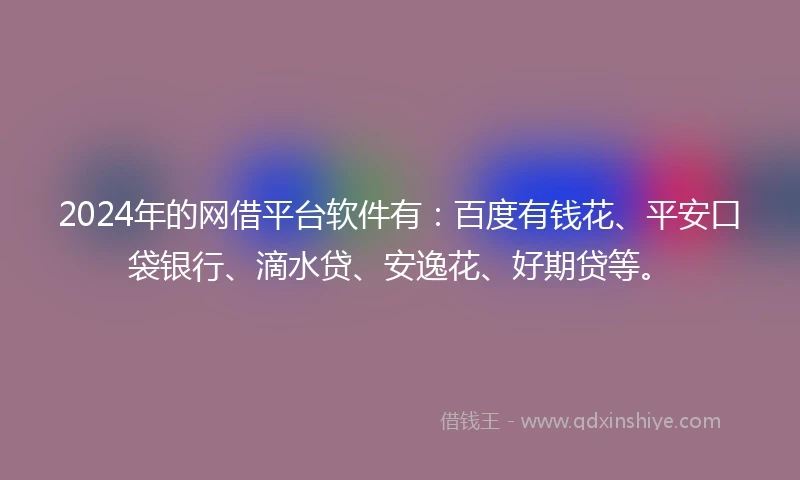 2024年的网借平台软件有：百度有钱花、平安口袋银行、滴水贷、安逸花、好期贷等。