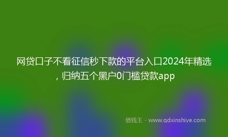 网贷口子不看征信秒下款的平台入口2024年精选，归纳五个黑户0门槛贷款app