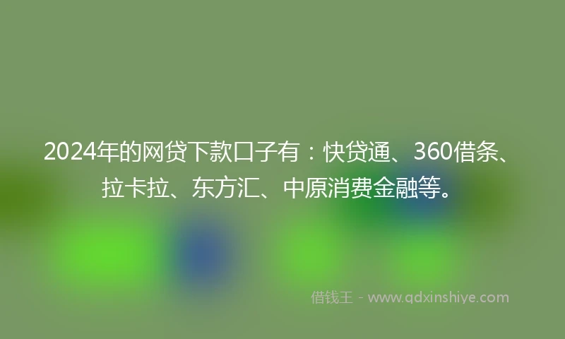 2024年的网贷下款口子有：快贷通、360借条、拉卡拉、东方汇、中原消费金融等。