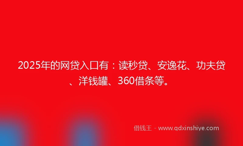 2025年的网贷入口有：读秒贷、安逸花、功夫贷、洋钱罐、360借条等。