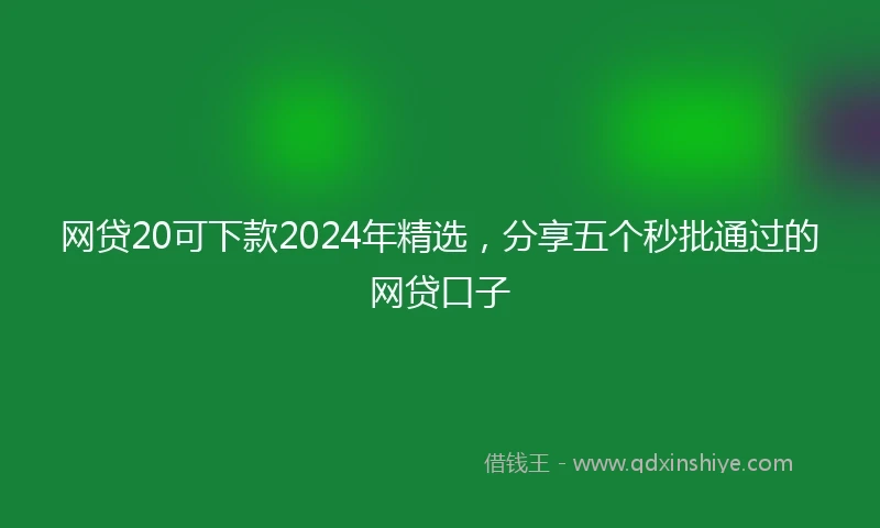 网贷20可下款2024年精选，分享五个秒批通过的网贷口子