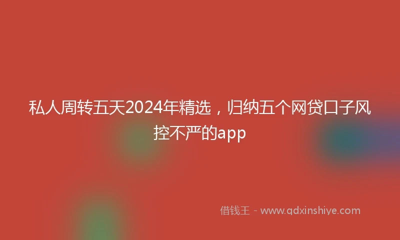 私人周转五天2024年精选，归纳五个网贷口子风控不严的app