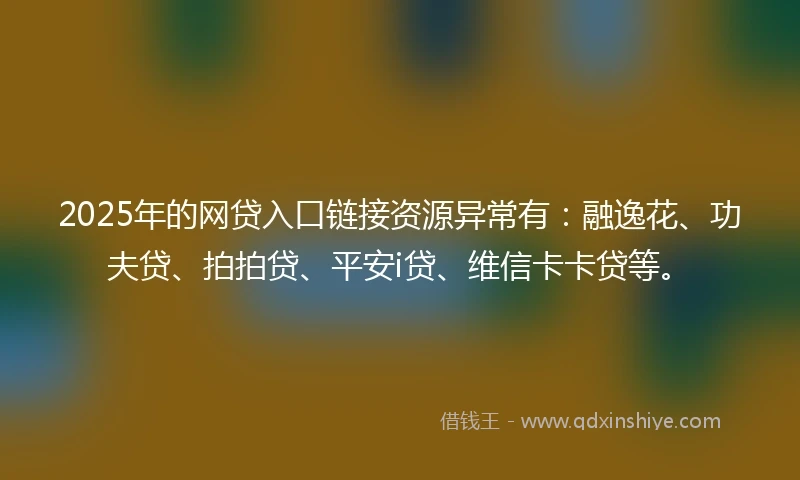 2025年的网贷入口链接资源异常有：融逸花、功夫贷、拍拍贷、平安i贷、维信卡卡贷等。