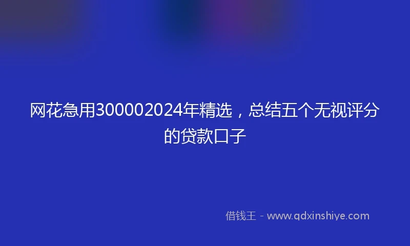网花急用300002024年精选，总结五个无视评分的贷款口子