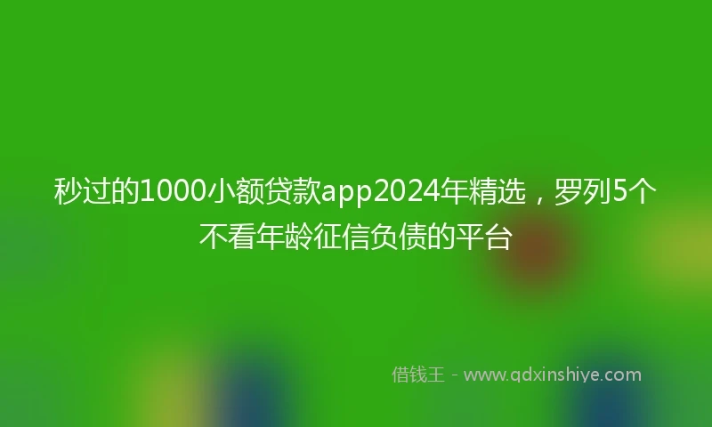 秒过的1000小额贷款app2024年精选，罗列5个不看年龄征信负债的平台